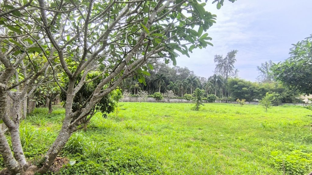 Freehold Land for Sale Koh Lanta Krabi