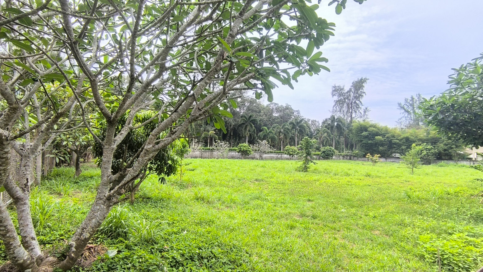 Premium Land for Business or Luxury Villas - Freehold Land for Sale Koh Lanta Krabi