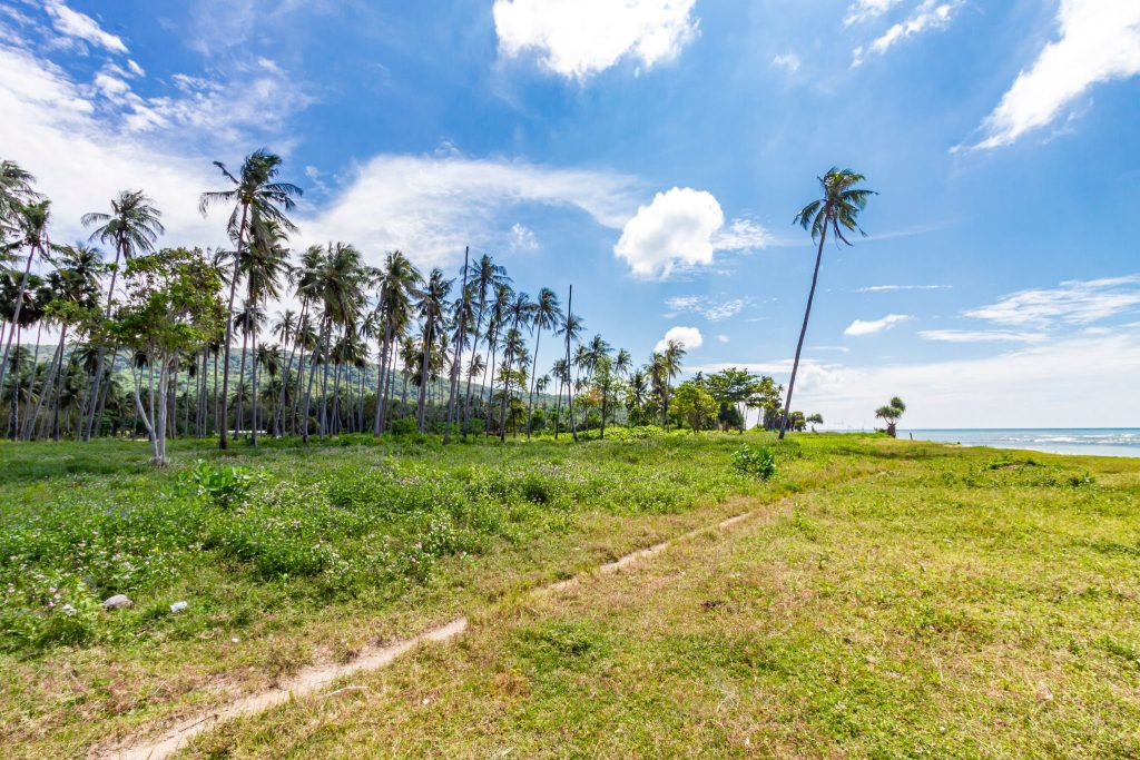 Beachfront Land for sale Koh Lanta - Lanta land and house