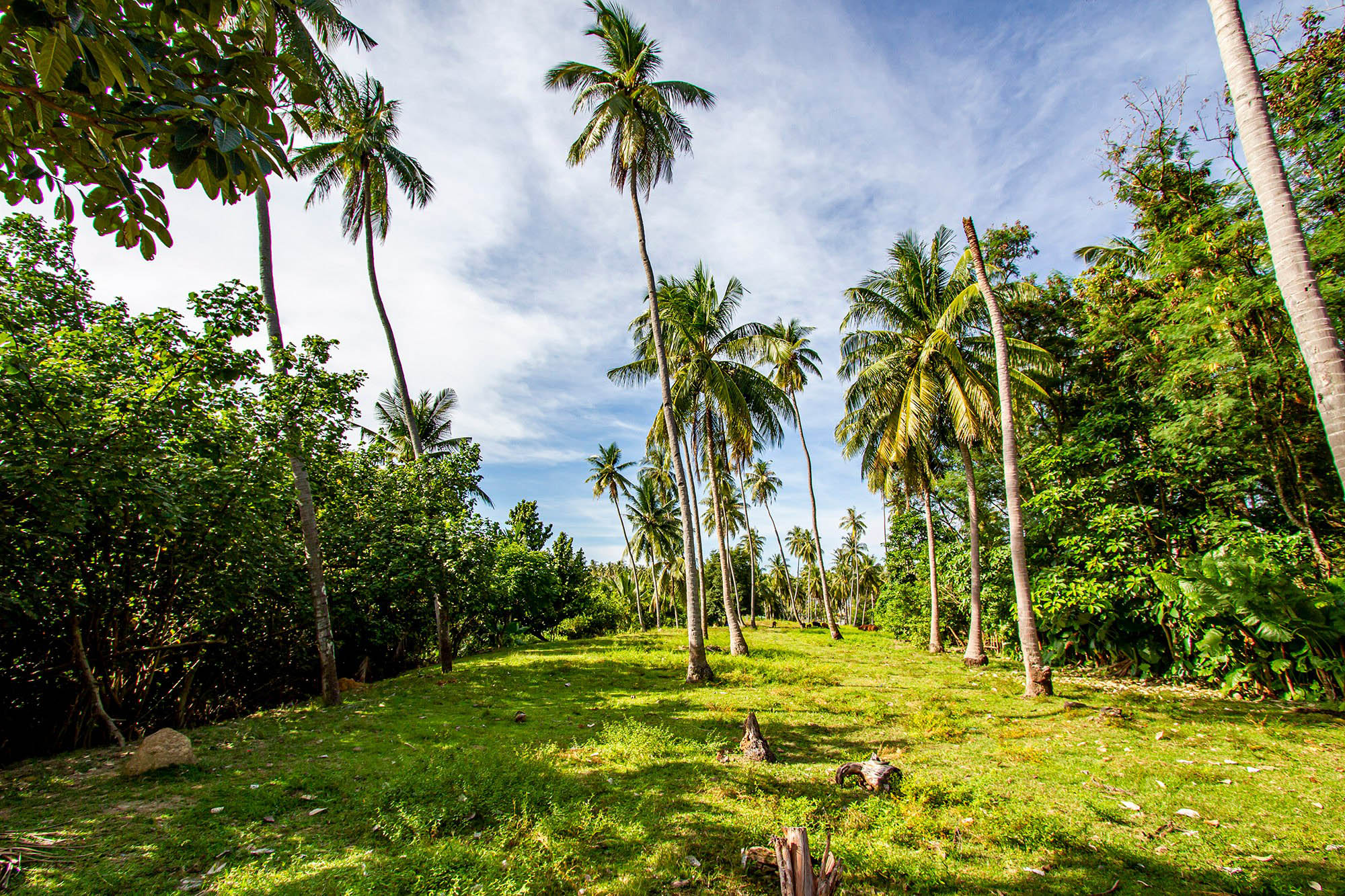 13 Rai Freehold Land for Sale - Business for sale Koh Lanta, Pool Villa for Sale Koh Lanta, Koh Lanta long-term rentasl, Koh Lanta Land for sale, Condo for sale koh lanta, Lanta Property management