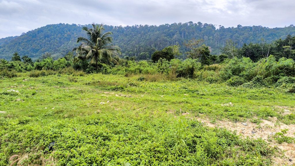 Prime Mountain View Land for Sale on Koh Lanta - Freehold Land Near Long Beach, Koh Lanta – A Smart Investment Opportunity