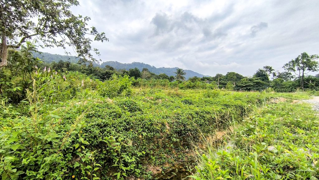 Flat Land Mountain View for Sale Koh Lanta - Panpurie Realestate