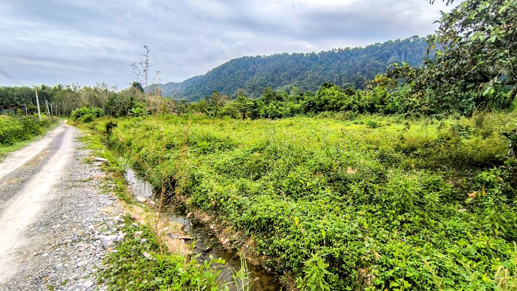 Flat Land Mountain View for Sale Koh Lanta - Panpurie Realestate