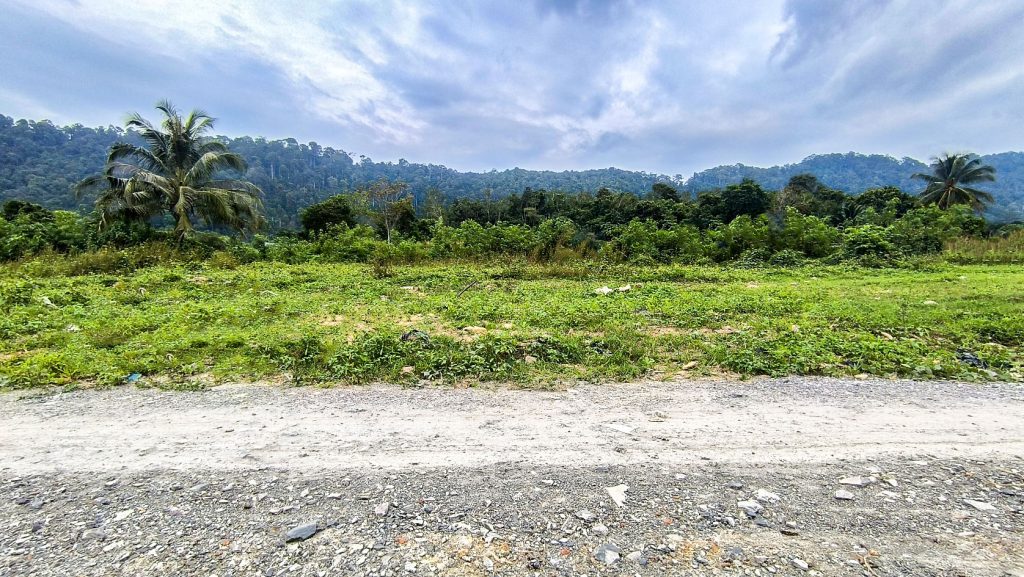 Flat Land Mountain View for Sale Koh Lanta - Panpurie Realestate