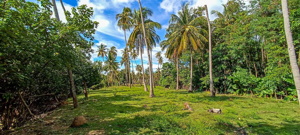 Business for sale Koh Lanta, Pool Villa for Sale Koh Lanta, Koh Lanta long-term rentasl, Koh Lanta Land for sale, Condo for sale koh lanta, Lanta Property management