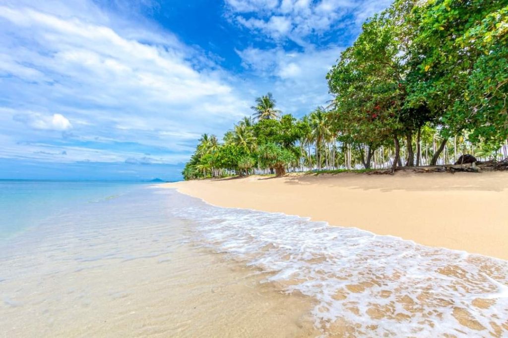 Exclusive Beachfront Land for Sale in Koh Lanta