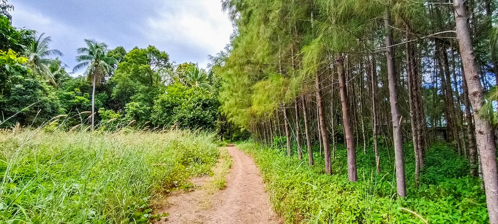 Beachfront Land for Sale: Prime Investment Opportunity on Long Beach, Koh Lanta, Krabi, Thailand